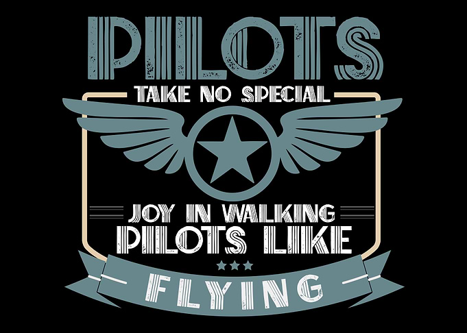 Airliner Pilot Captain