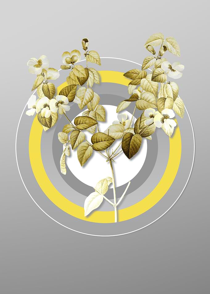 Gray and Yellow Boranical