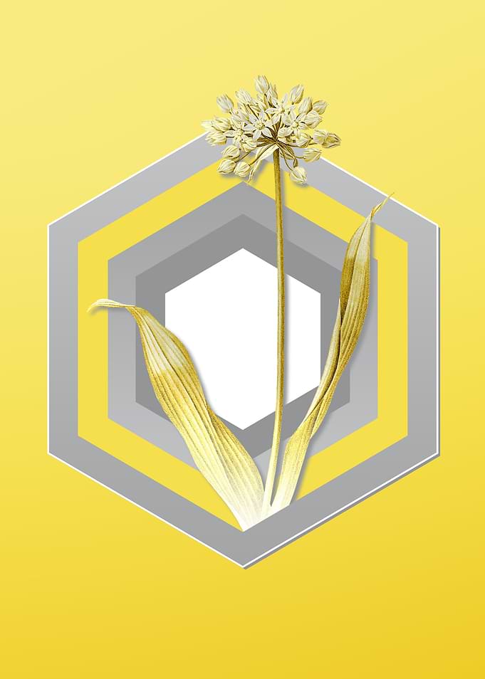 Yellow Vintage Garlic Art
