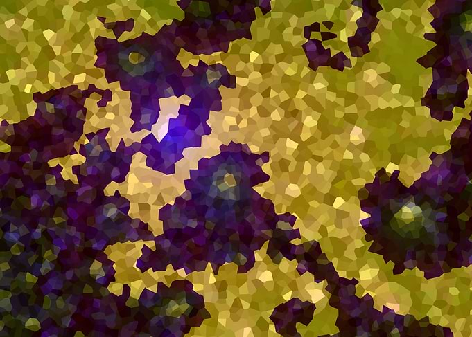 Fractal Shapes