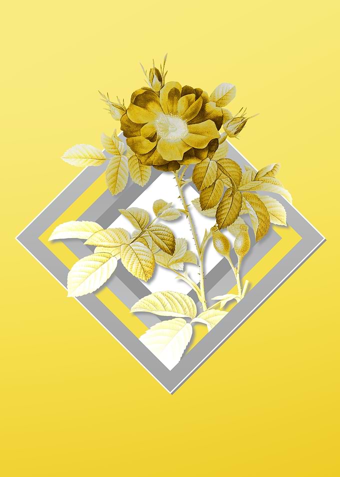 Yellow Floral Botanical