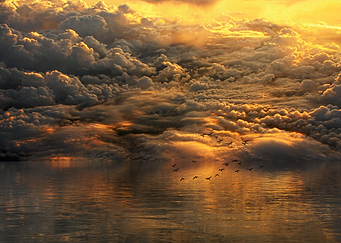 Cloudy Landscape
