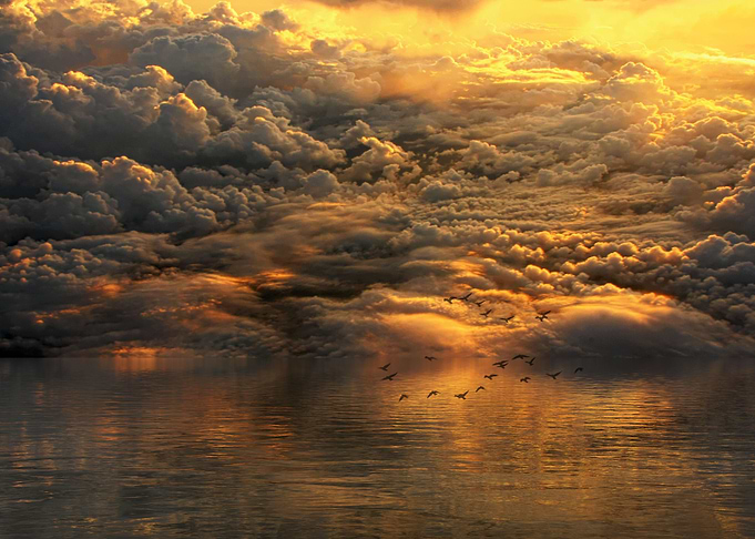 Cloudy Landscape