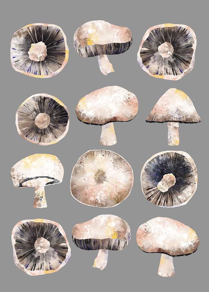 Mushrooms