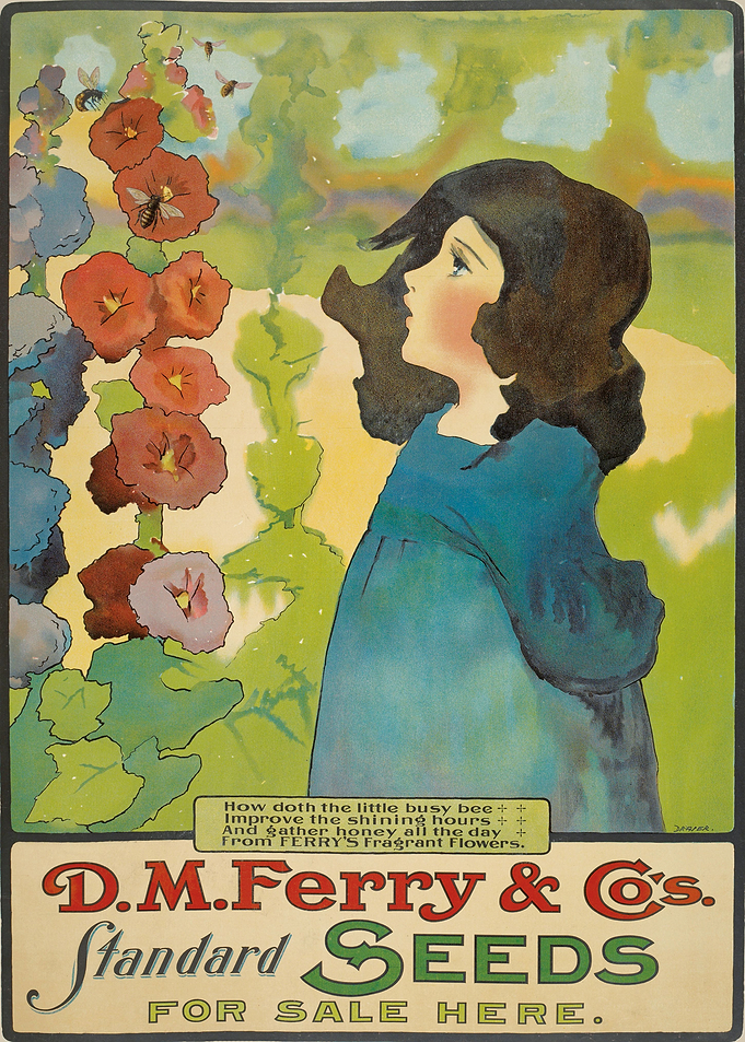 Girl looking at Flowers