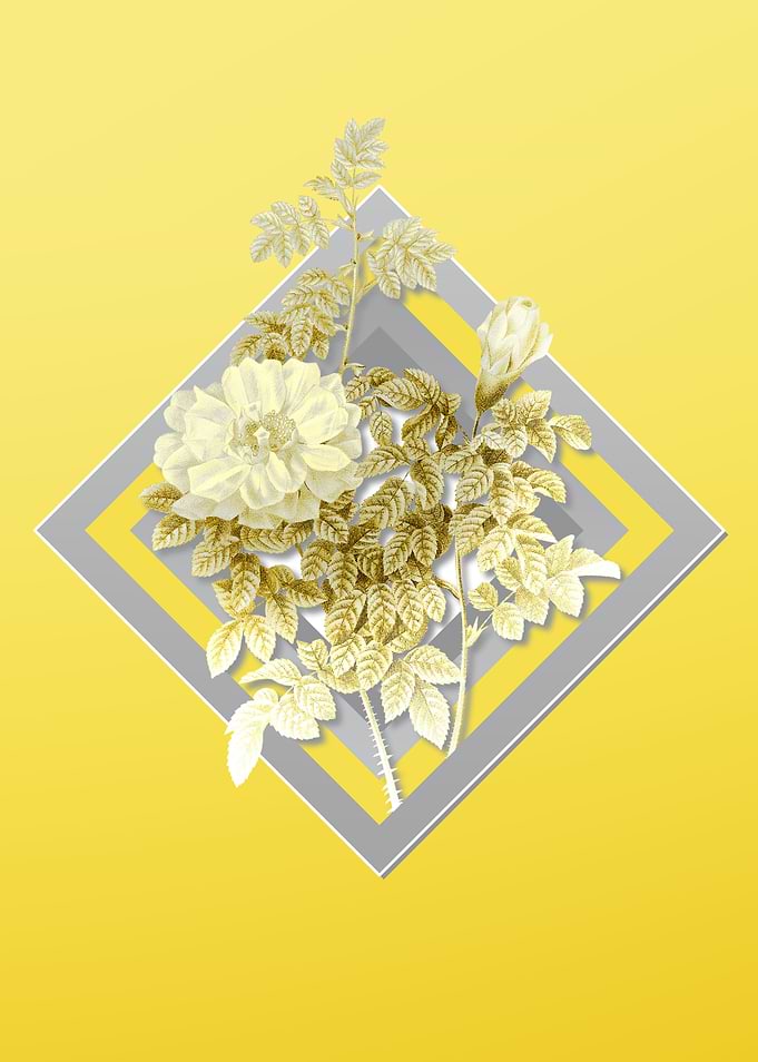 Illuminating Yellow Flower