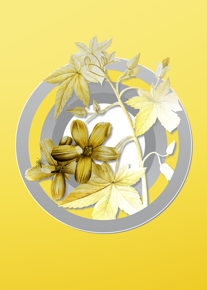 Yellow Floral Illustration