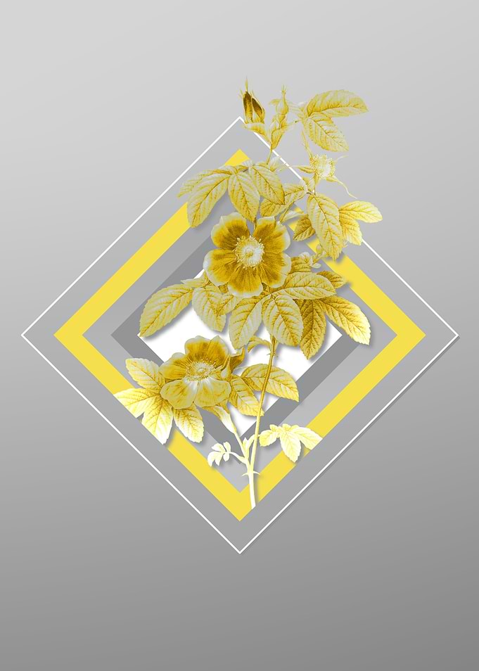 Gray Flower Illustration