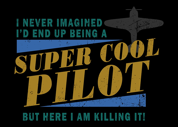 Airliner Pilot Aviator