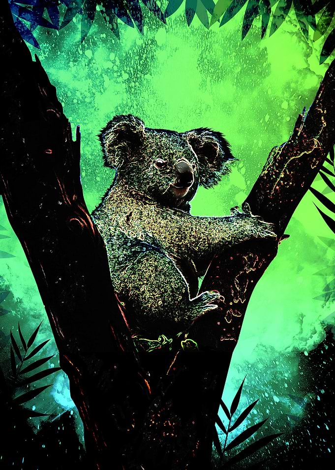 Soul of the Koala