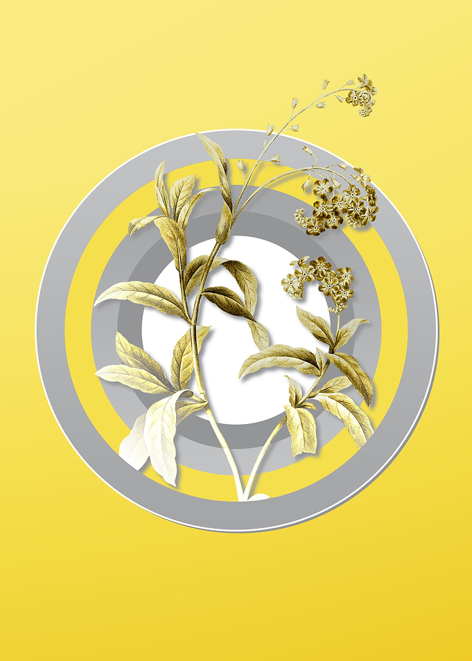 Yellow Flower Drawing