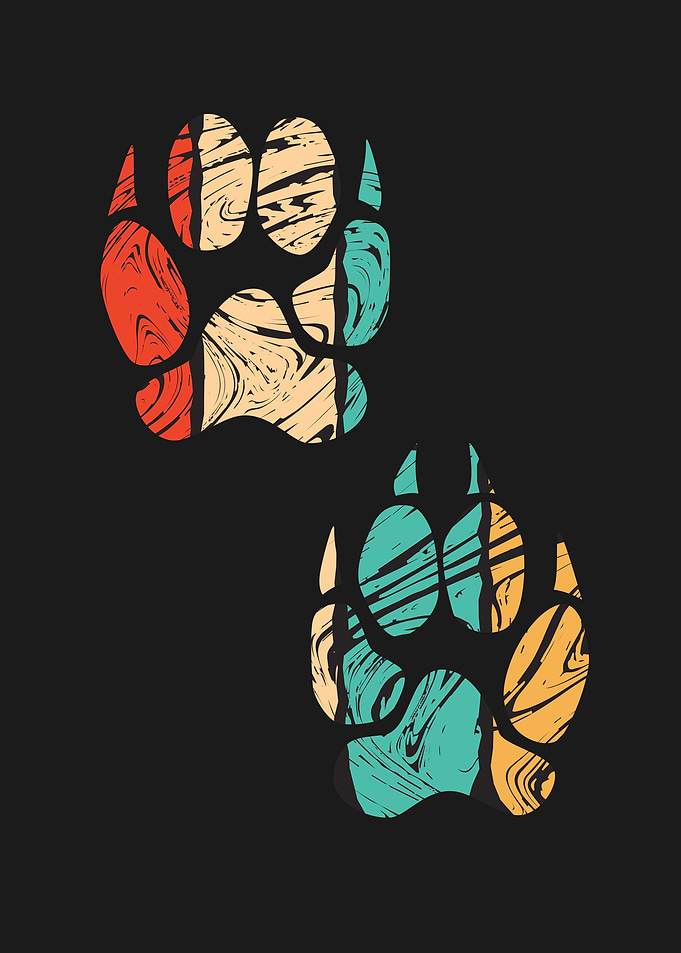 Animal Footprint