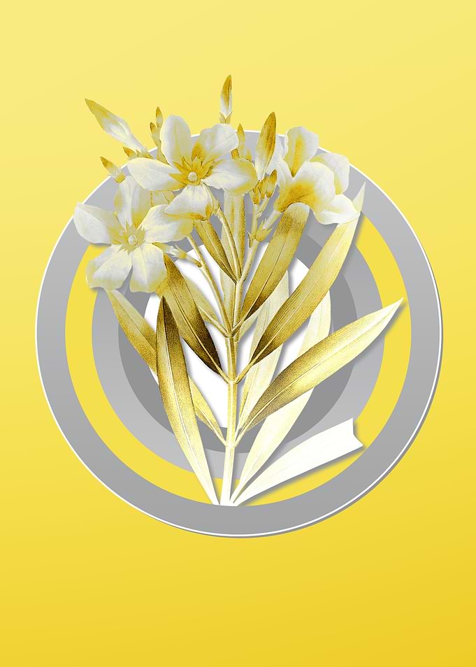 Yellow Oleander Flower