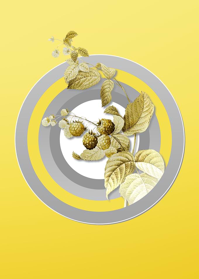 Yellow Floral Botanical