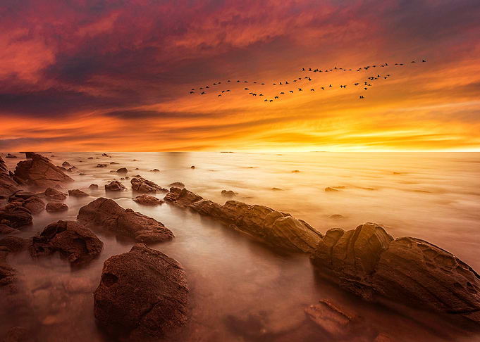 Rocky Shores