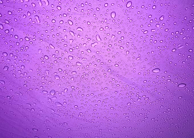Rain droplets on purple