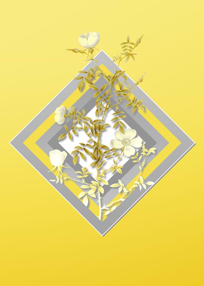 Yellow Rose Illustration