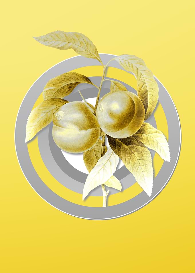 Yellow Peach Illustration