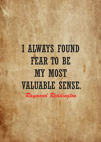 raymond reddington quotes