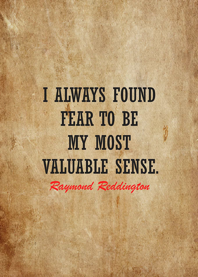 raymond reddington quotes
