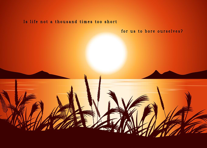 Landscapes