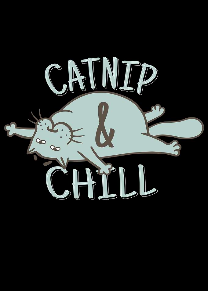 Catnip Chill Cat