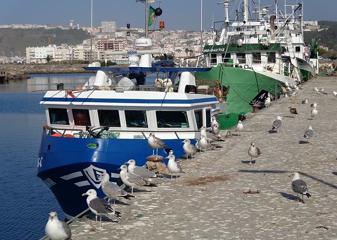 Colorful fishing boat 03