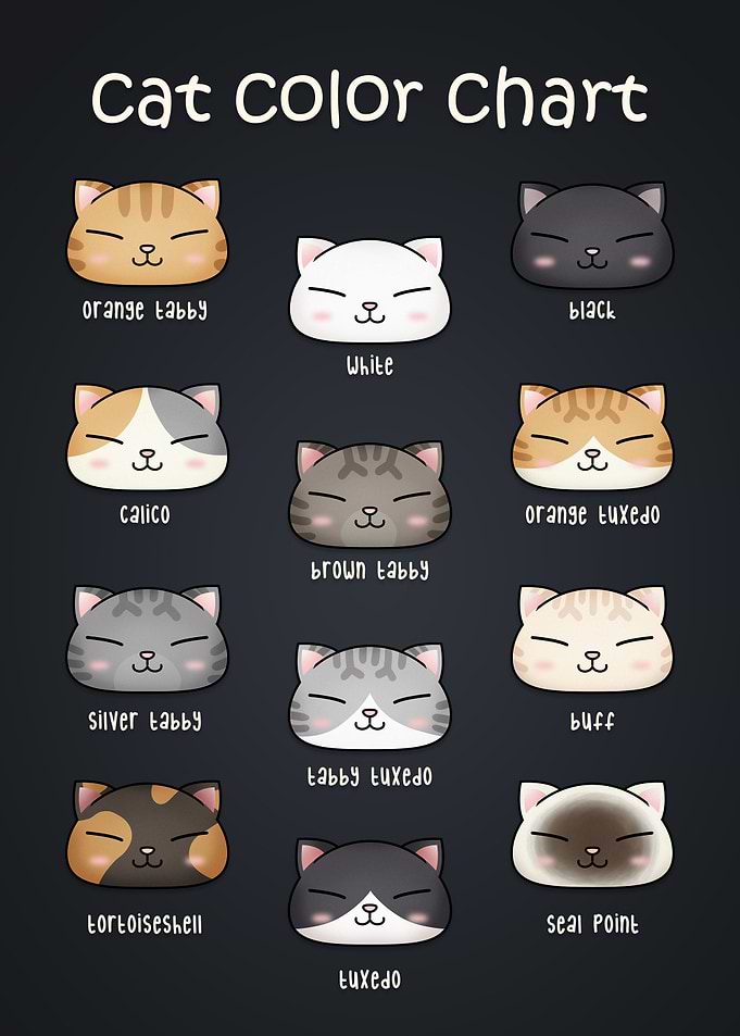 Cat Color Chart