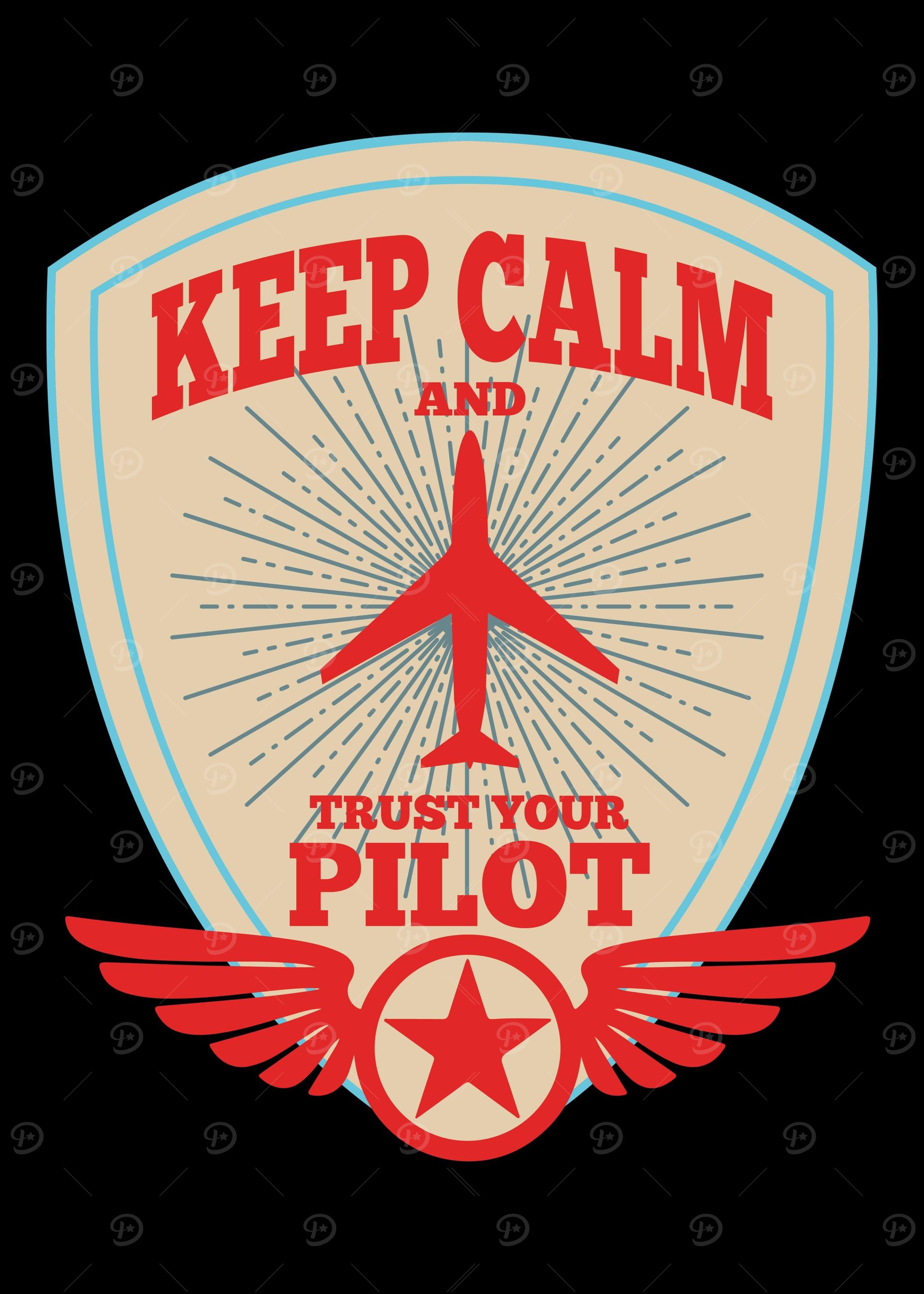 Airplane Pilot Flier