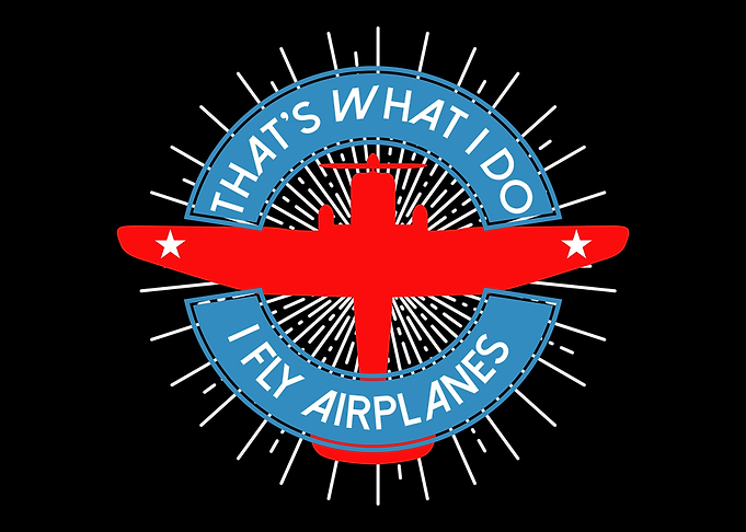 Airliner Pilot Flier