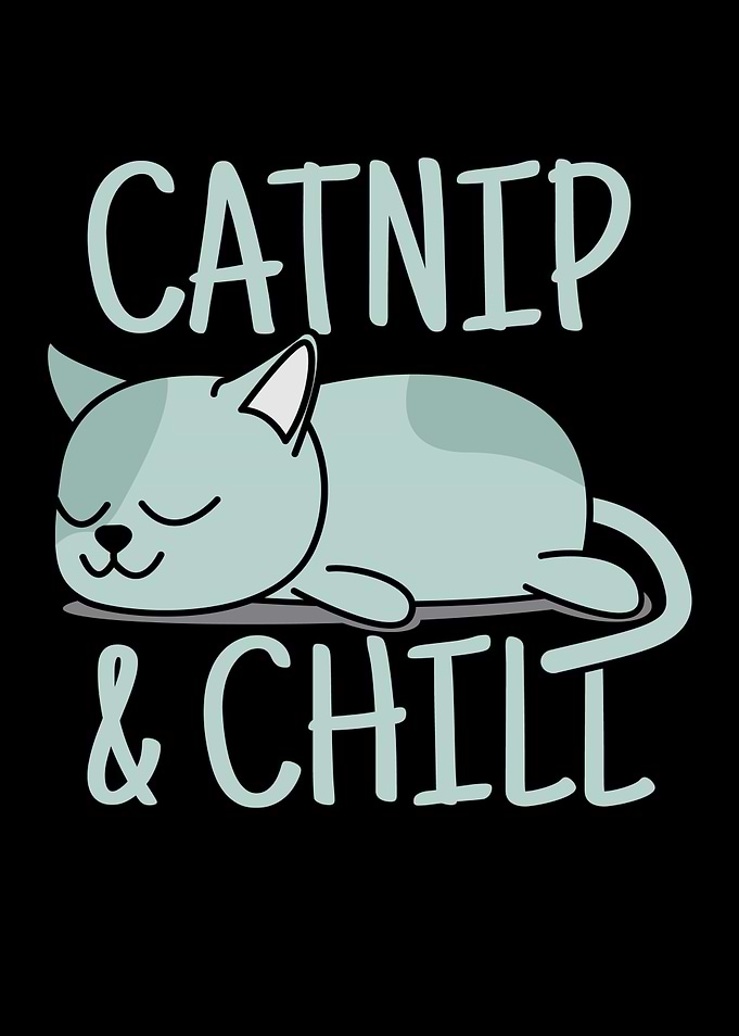 Catnip Chill Cat Chillin