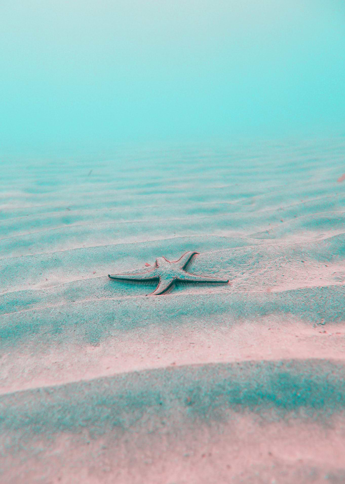 seastar