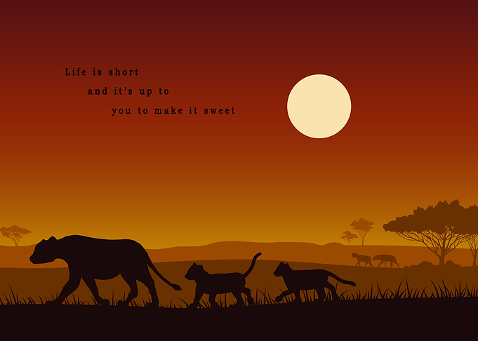Landscapes