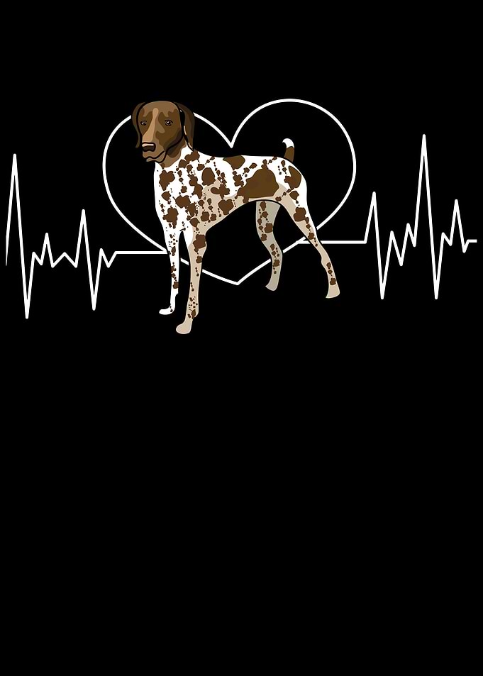 German Shorthair Pointer