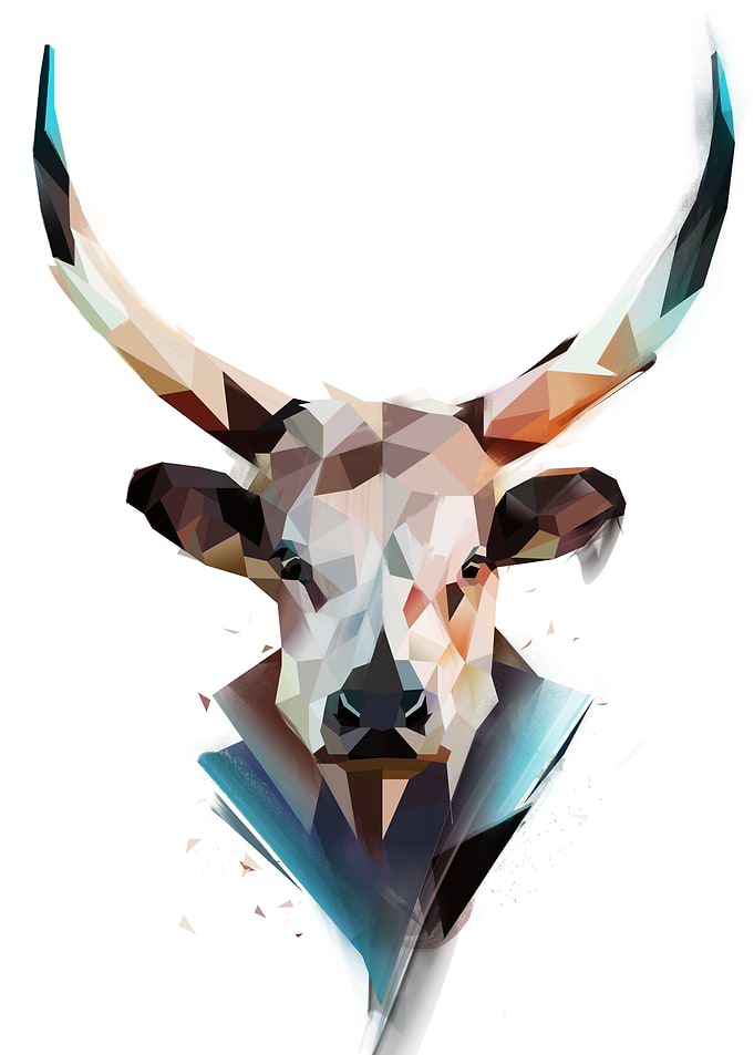 Bull