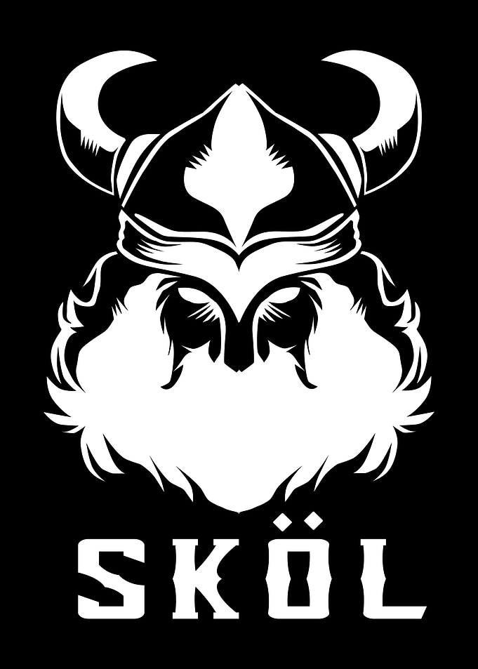 Vikings Skol
