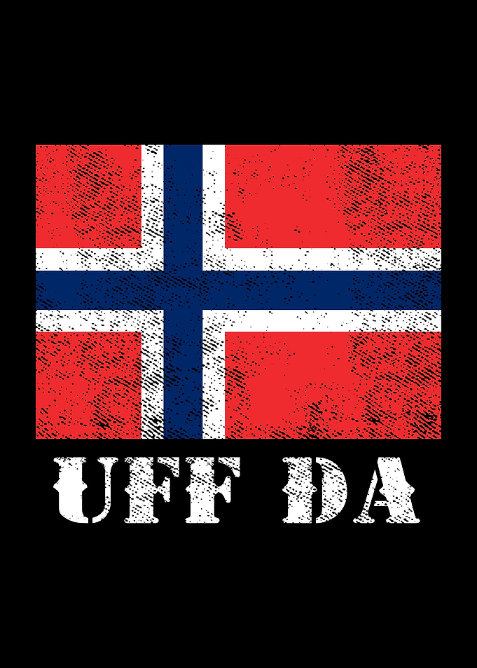 Viking Norway Flag