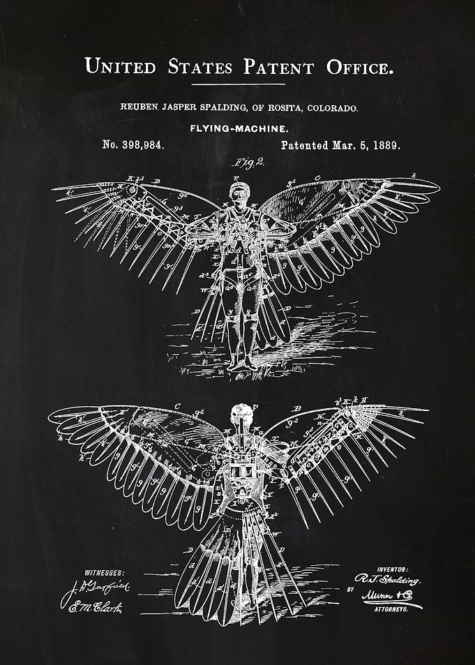 45 Wing Flying Machine Pa
