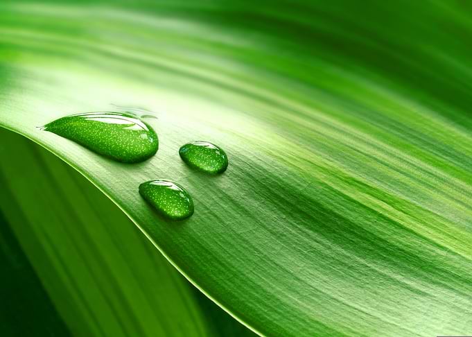 Green drops