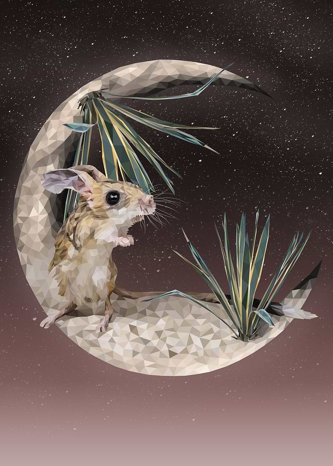 Four toed jerboa