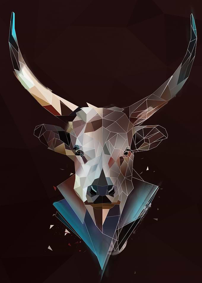 Bull sketch
