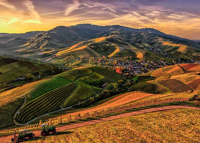 Hills of Toscana