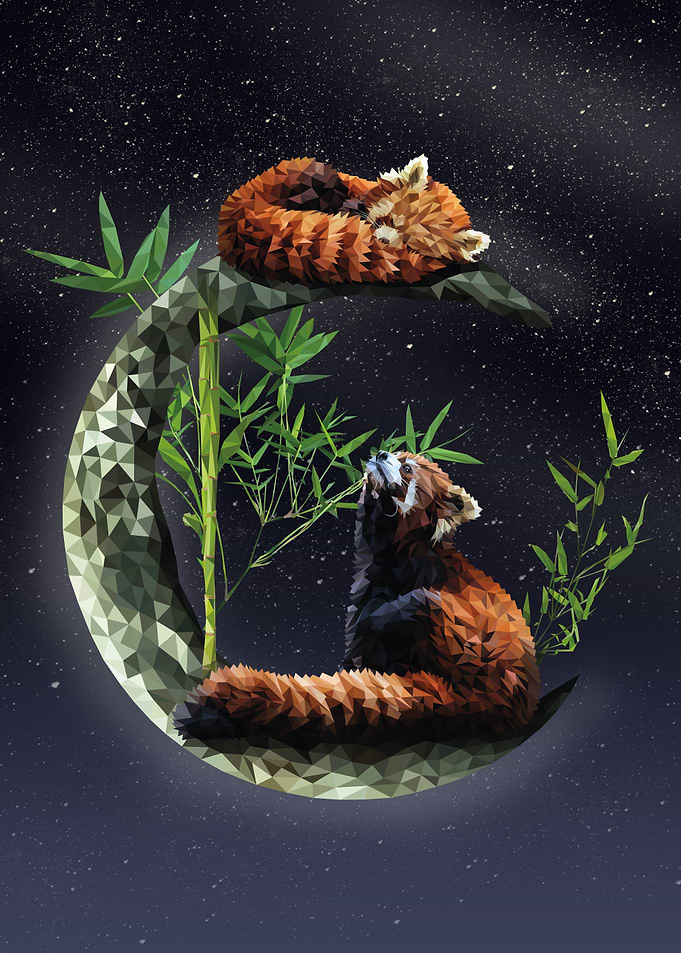 Red panda