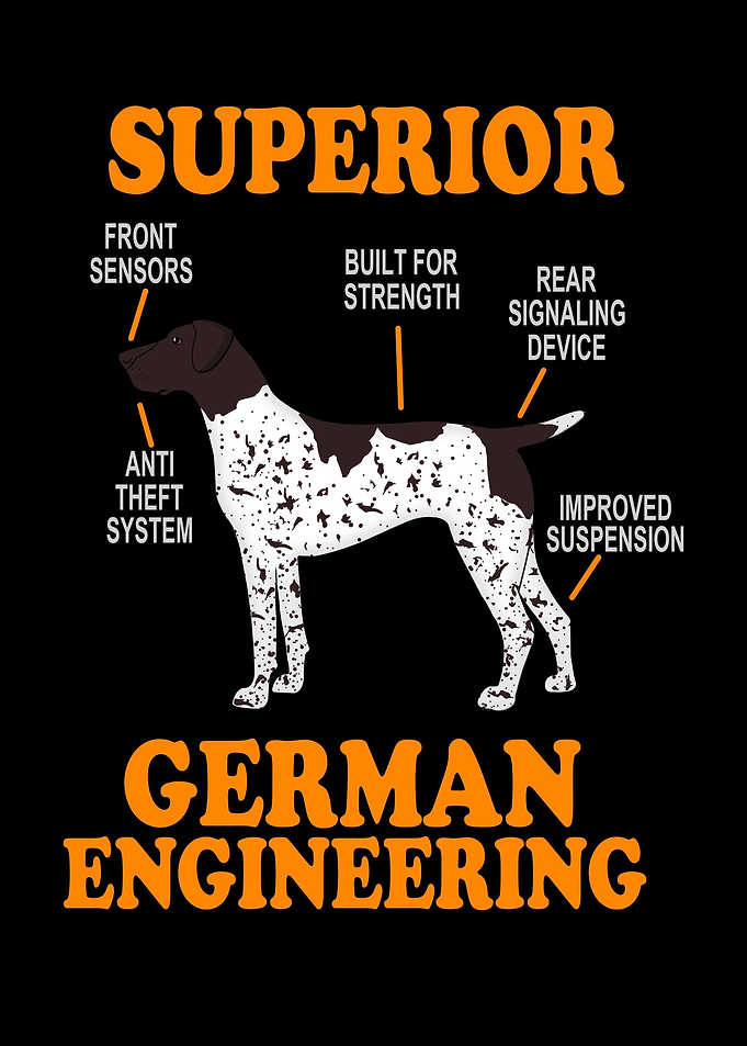 German Shorthair Pointer