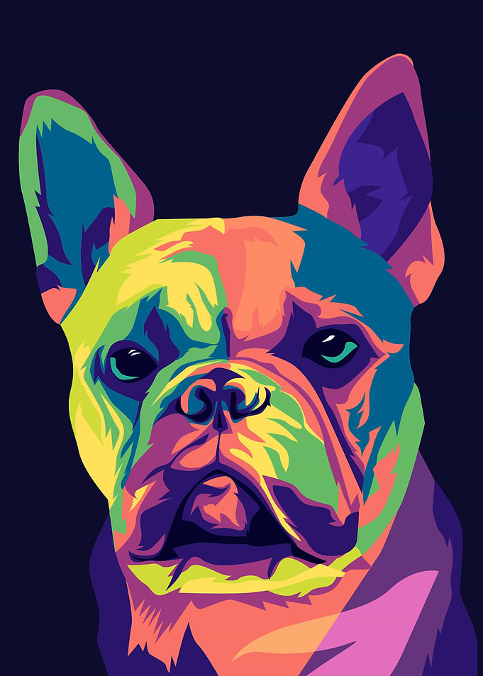 Cute buldog in pop art