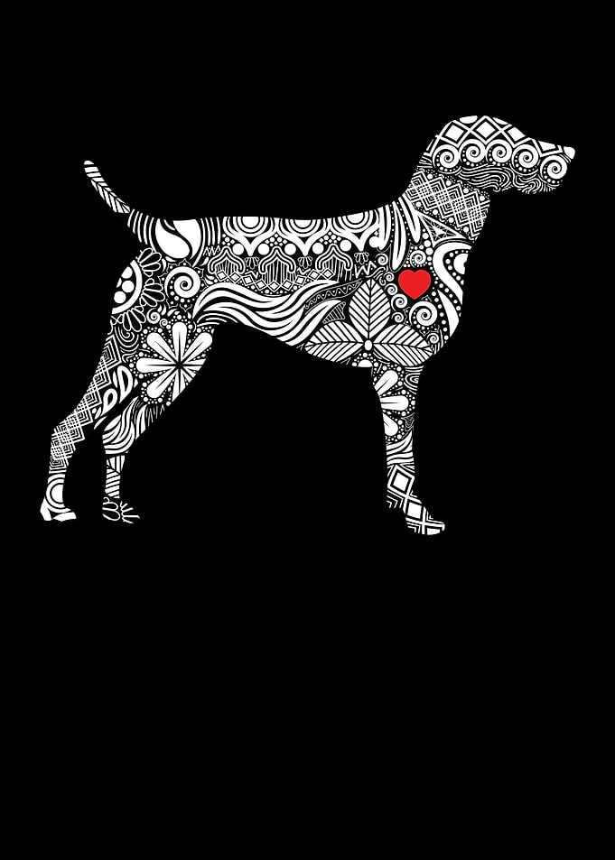 German Shorthair Pointer I