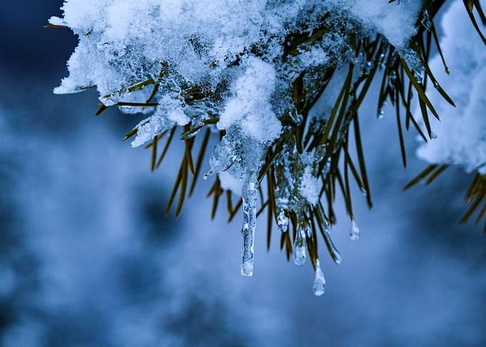 Winter