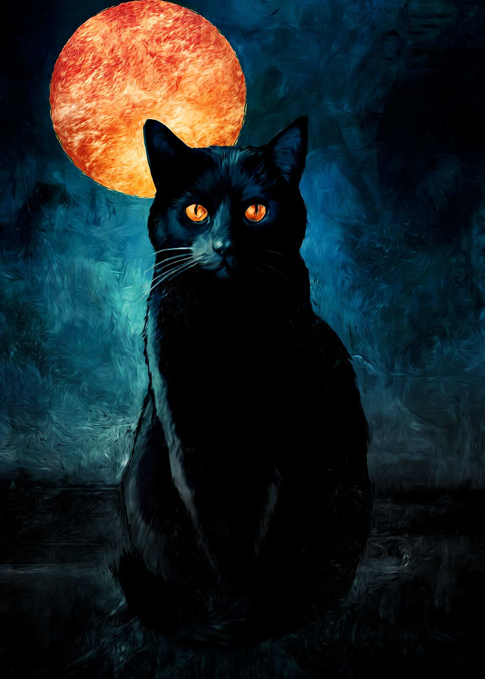 Black Cat