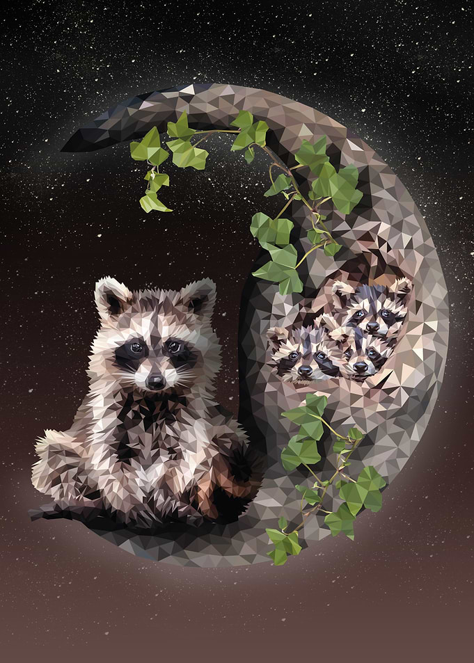 Raccoon