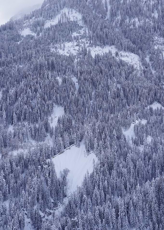 Snowy Mountain in CH